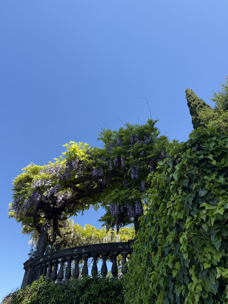 Wisteria-covered garden terrace overlooking Lake Como under a bright blue sky
